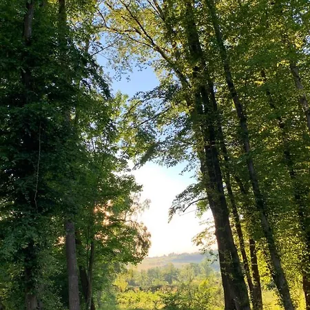 Oda ve Kahvaltı Chateau Des Mussets Magnet