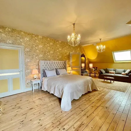 Chateau Des Mussets Bed & Breakfast